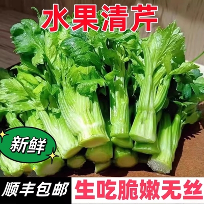 云南高原水果清芹生吃新鲜水果芹菜西芹当季蔬菜现采现发绿色青菜