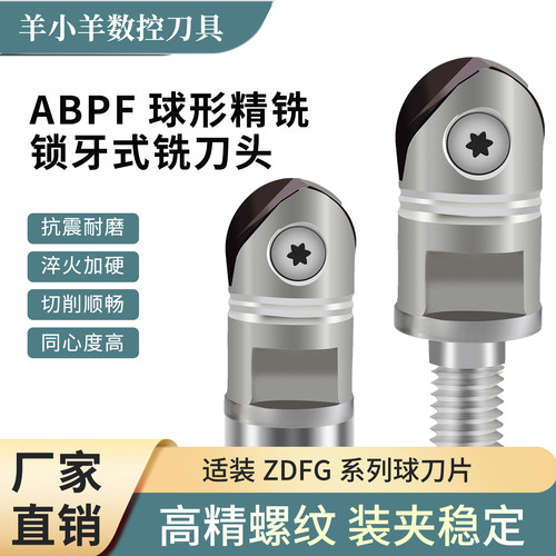 ABPF日立款数控抗震螺纹铣刀头