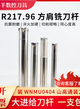 R217.96刀杆MFWN04数控快进给铣刀杆搭配双面六刃刀片WNMMU040308