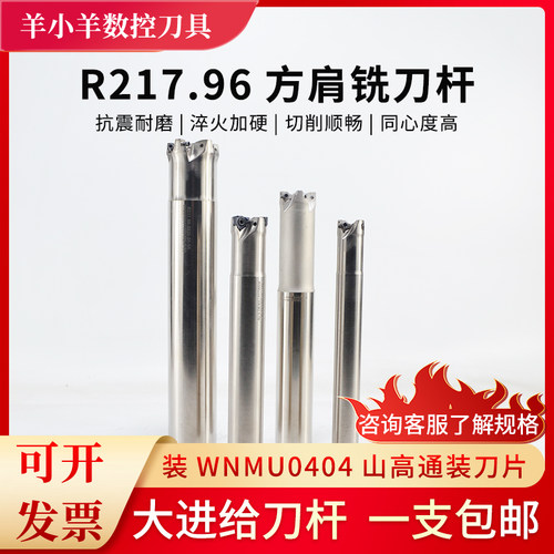R217.96刀杆MFWN04快进给铣削