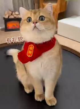 红色围脖宠物围巾可爱小狗圣诞新年毛线配饰冬季狗狗保暖猫咪招财