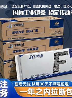 工业传动链条碳钢 3分06B 4分08B 5分10A 6分12A 1寸16A单排双排