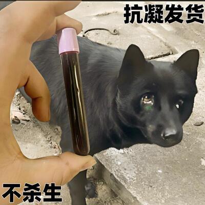 道家黑狗血液体新鲜狗血调朱砂液红色墨汁无杂色无杂毛纯黑犬专用