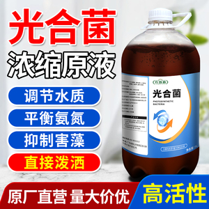 农欢心光合细菌水产养殖专用鱼塘净化水质降解亚盐氨氮光合菌菌种