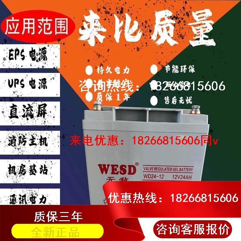 WESD无敌WD38-12蓄电池12V38Ah直流屏EPS/UPS应急备用电源蓄电池