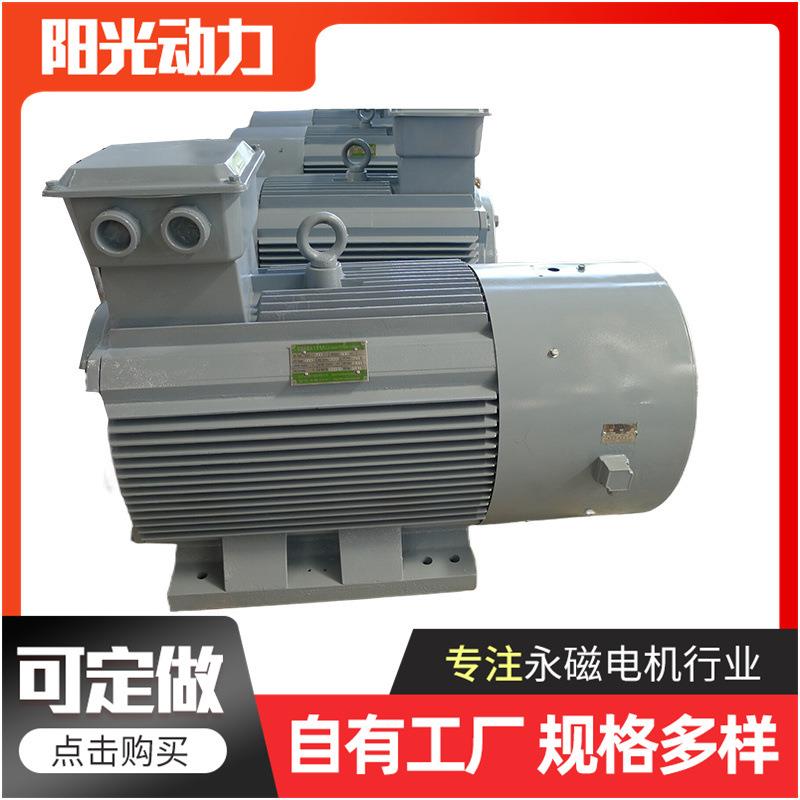 供应转速300rpm海洋能发电机高效运行自然条件散热发电机