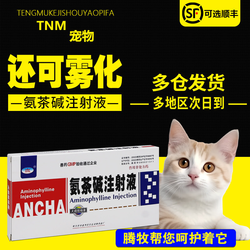 安茶碱兽药盐酸氨溴索兽用氨溴索注射宠物猫鼻支雾化药气管炎平喘