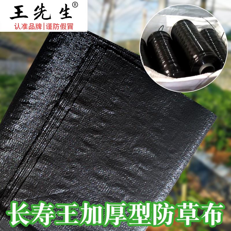 王先生抗暴晒防草除草布定制果园农用园艺耐用盖草布生态防草布