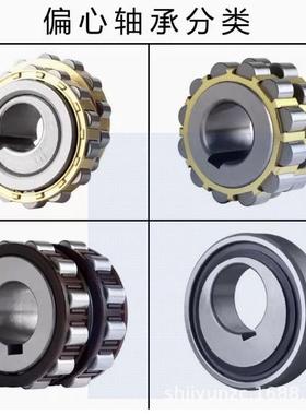 减速机偏心轴承 RN205 RN206 RN307 RN309 204 312 219 222 228 M