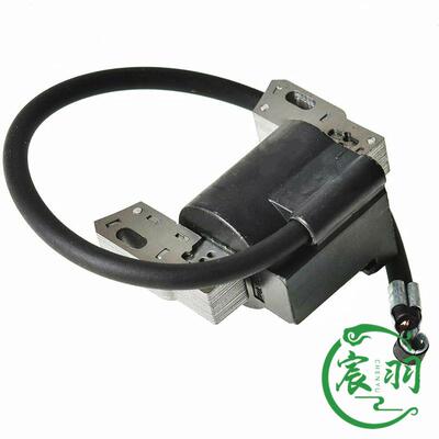 Briggs& Stratton 591420 398593 496914 793281 793295高压包