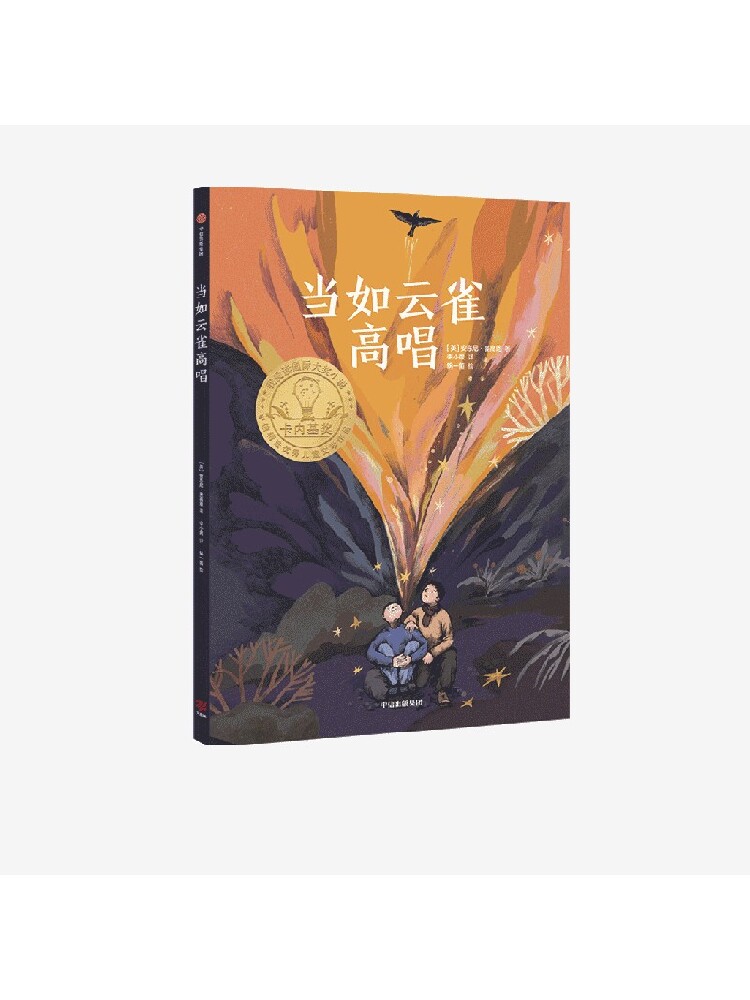 【9-16岁】当如云雀高唱 安东尼麦高恩著 2020年卡内基奖获奖作品