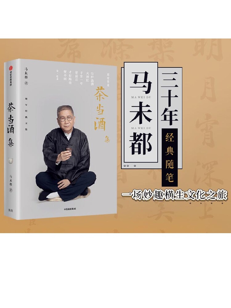 茶当酒集 马未都 著 马未都三十年经典随笔经典作品 收藏之乐 感