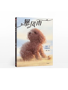 【3-6岁】暴风雨 郭婧 著 中国原创童书 独生小孩作者新作 温情故