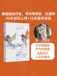 包邮 一只鸟接着一只鸟 关于写作与人生的建议 安拉莫特著 同主题