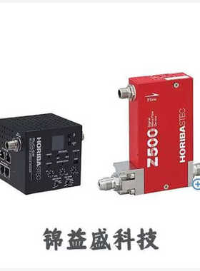 HORIBA气体检测仪FS-3000