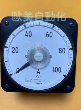 RF8-A 100A 电流表CLASS1.5 RF8-AI 0-100 67DA7719