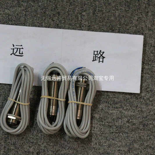 CAMAR传器TERMORESISTENZA PT100 OHM CL. B