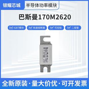 巴斯曼170M2620人防熔断器