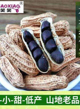 阿狸笑笑云南带壳黑花生种子老品种生黑皮花生米去壳花生1000克