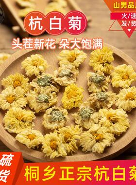 正宗浙江桐乡杭白菊中药材正品500克胎菊花泡水味更香花草茶山男