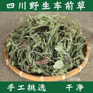 中药材车前草500g包邮四川新鲜野生车前草干货整颗袋泡茶泡水