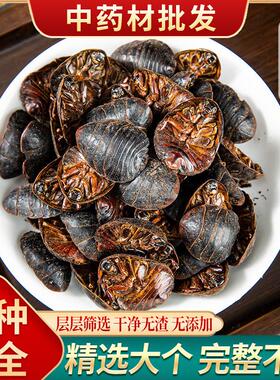 土元中药材土元500g克包邮新货地鳖虫土元虫干土鳖虫土鳖个土元粉