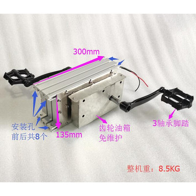 游乐喷泉水车发电机配水泵12-24V300W喷12米充手机 脚踏踩有专利