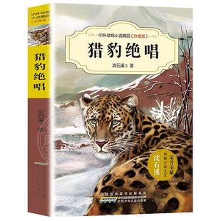 猎豹绝唱-中外动物小说精品(升级版) 沈石溪 安徽少年儿童出版社