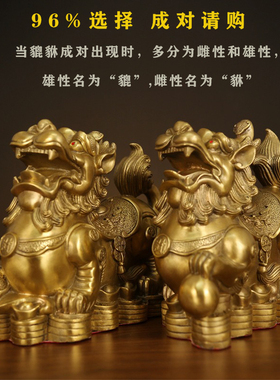纯铜貔貅摆件家居饰品公母一对吉祥客厅酒柜办公室装饰新创意布局