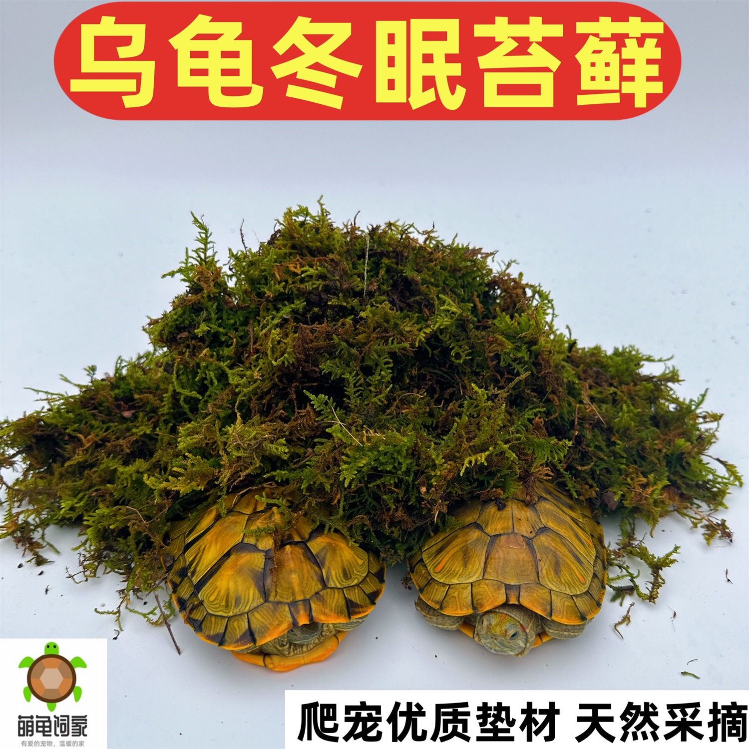 萌龟饲家乌龟爬宠冬眠垫保湿苔藓