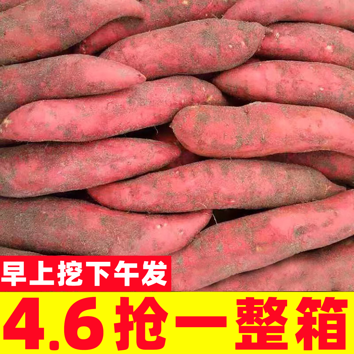 新鲜蜜薯10斤板栗红薯沙地糖心地瓜农家自种番薯现挖红心香薯山芋