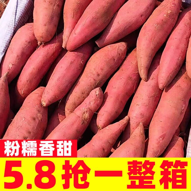 沙地西瓜红蜜薯10斤应当季农家自种地瓜糖心榴莲番薯新鲜板栗山芋