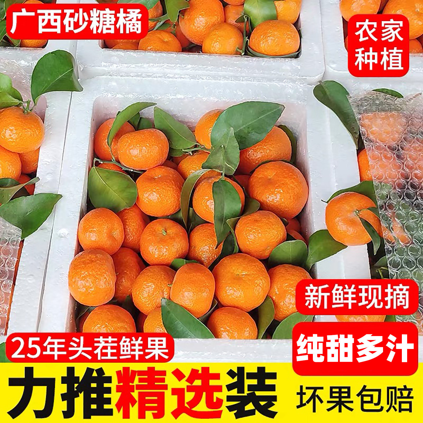 现摘砂糖橘整箱广西正宗新鲜5斤小蜜桔子金秋沙糖桔无籽应季水果