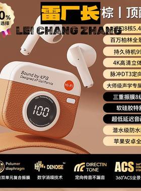 深圳瑞禾科技蓝牙耳机爆款黑胶复古相机耳机无线高颜值女士学生礼