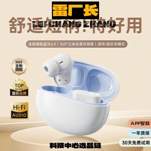 东莞声翔科技自带款新款蓝牙耳机真无线入耳降噪高音质无感佩戴
