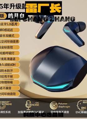 深圳瑞禾科技蓝牙耳机于真无线耳机游戏电竞低延迟降噪新款科技运