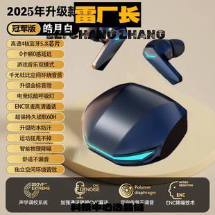 深圳瑞禾科技蓝牙耳机于真无线耳机游戏电竞低延迟降噪新款科技运
