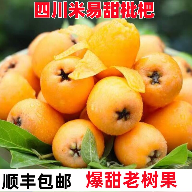 四川攀枝花米易枇杷大果礼盒新鲜当季水果琵笆琵芭大五星批把鲜果