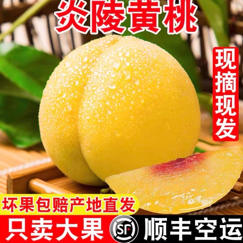正宗湖南炎陵黄桃礼盒装大果红心脆甜现摘高山新鲜水果顺丰送礼
