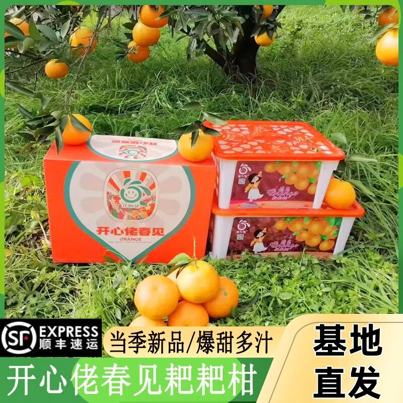 开心佬爆浆春见耙耙柑礼盒装新鲜应当季水果四川纯甜爆汁柑橘整箱