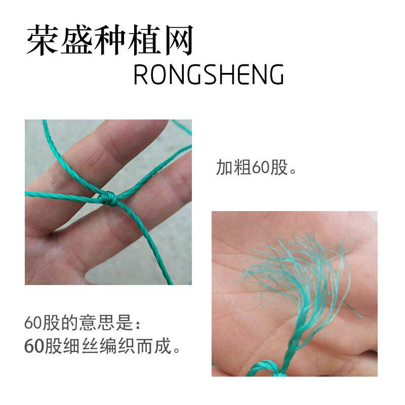 爬藤网攀爬网百香果专用网瓜蒌种植网农用黄瓜架网果蔬攀爬植物网