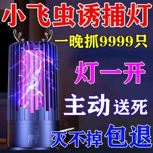 家里有小飞虫诱捕灯室内去除小飞虫蛾蠓蚊子克星夏天摆摊灭诱虫灯