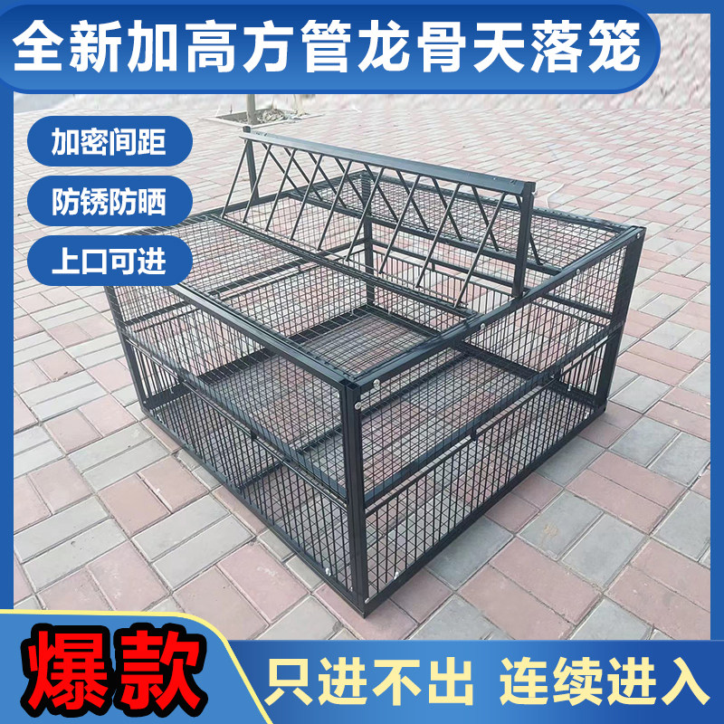 天落笼鸽子笼只进不出笼户外神器防晒防锈加厚材质鸡鸭鹅