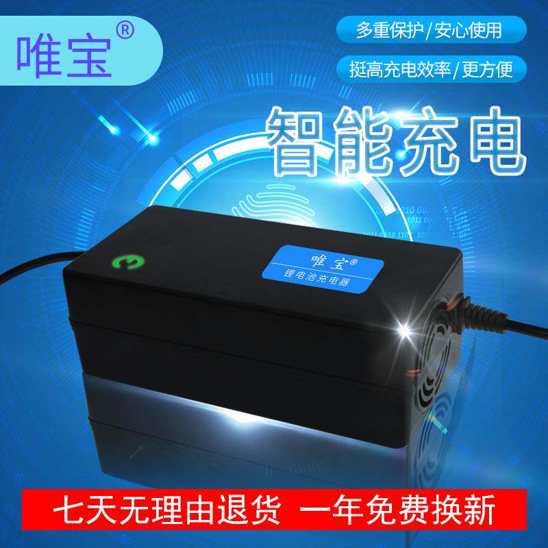 锂电池充电器43.6V56.5V73V57.6VV54.8V滑板车独轮车哈雷电动车