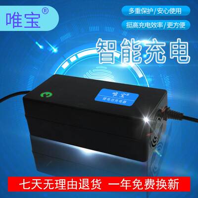 锂电池充电器43.6V56.5V73V57.6VV54.8V滑板车独轮车哈雷电动车