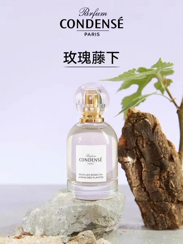 CONDENSE珂蒂丝全系小样