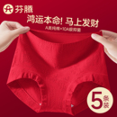 结婚本命年四角短裤 芬腾红色平角内裤 女士纯棉裆7a级抗菌2025新款