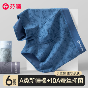 四角裤 男生纯棉抗菌2025新款 男式 运动平角短裤 芬腾男士 衩男款 内裤