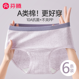芬腾女士内裤 纯棉抗菌100%全棉裆中腰无痕a类棉少女学生透气短裤