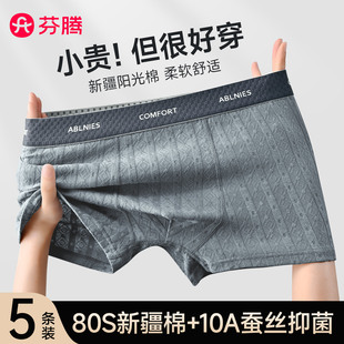 内裤 头男款 男纯棉抗菌四角裤 男生平角运动短裤 衩2025新款 芬腾男士